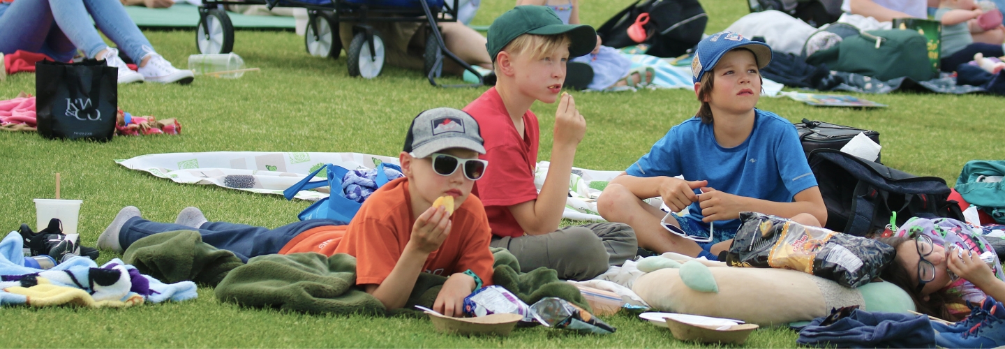 MOVIES AT THE MEADOWS