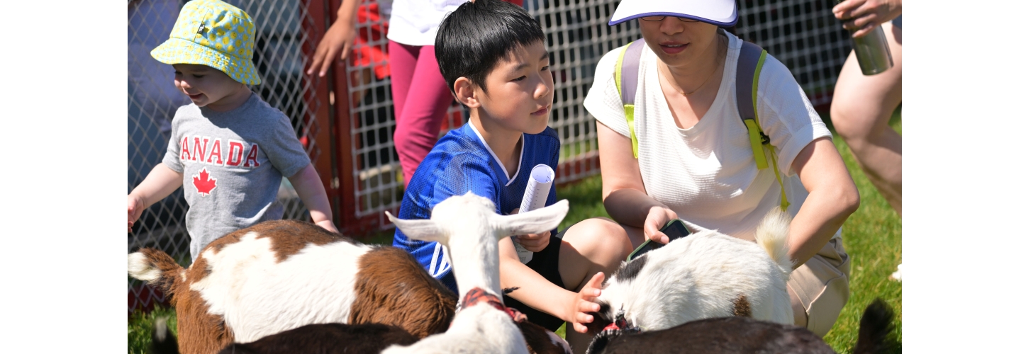 Kids' Zone