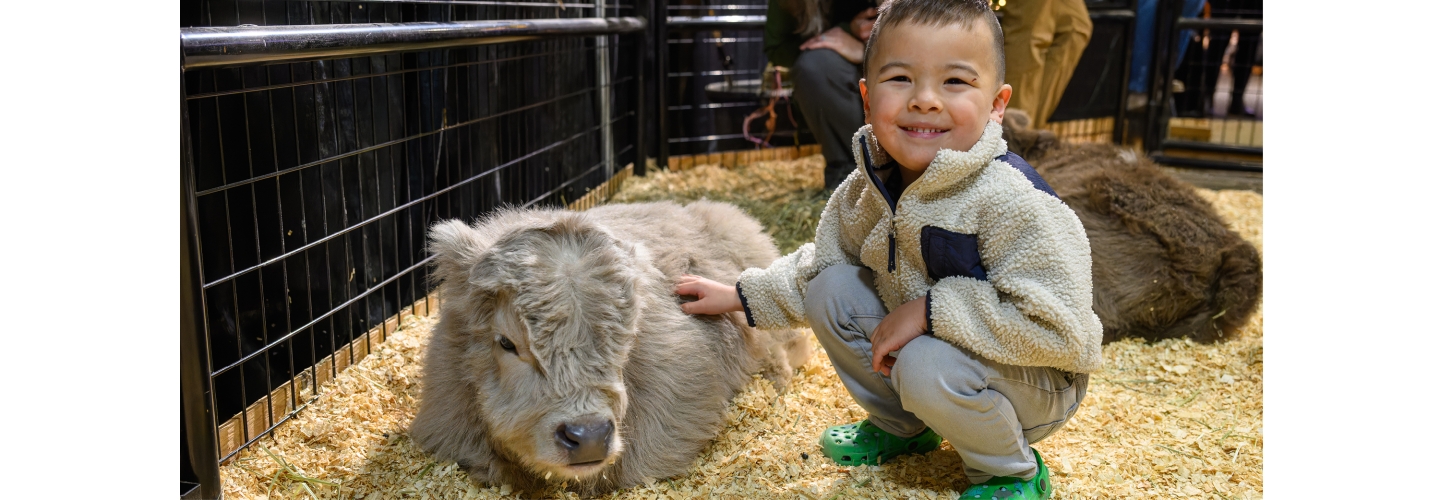 Petting Zoo