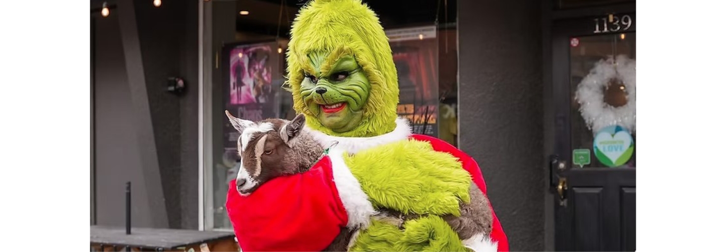 The Grunch