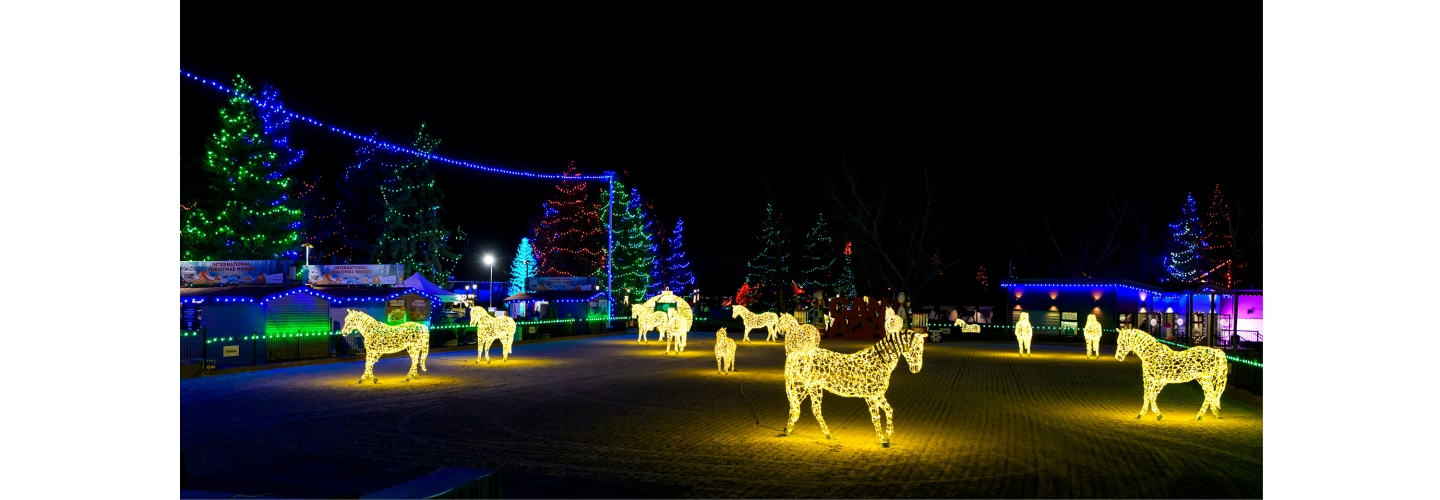 Holiday Adventures Await in the Festive Dog Park