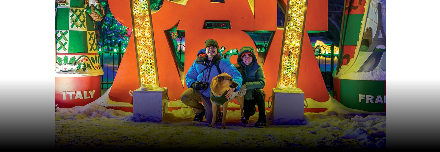 Holiday Adventures Await in our Festive Dog venues!