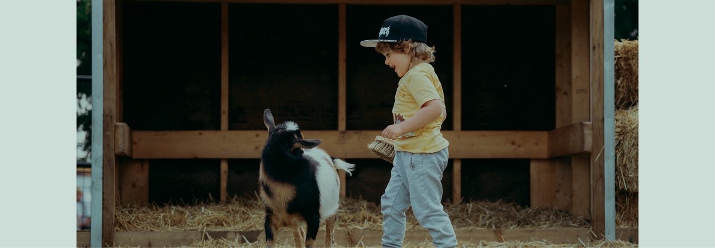 Spruce Meadows Animal Farm goat petting zoo