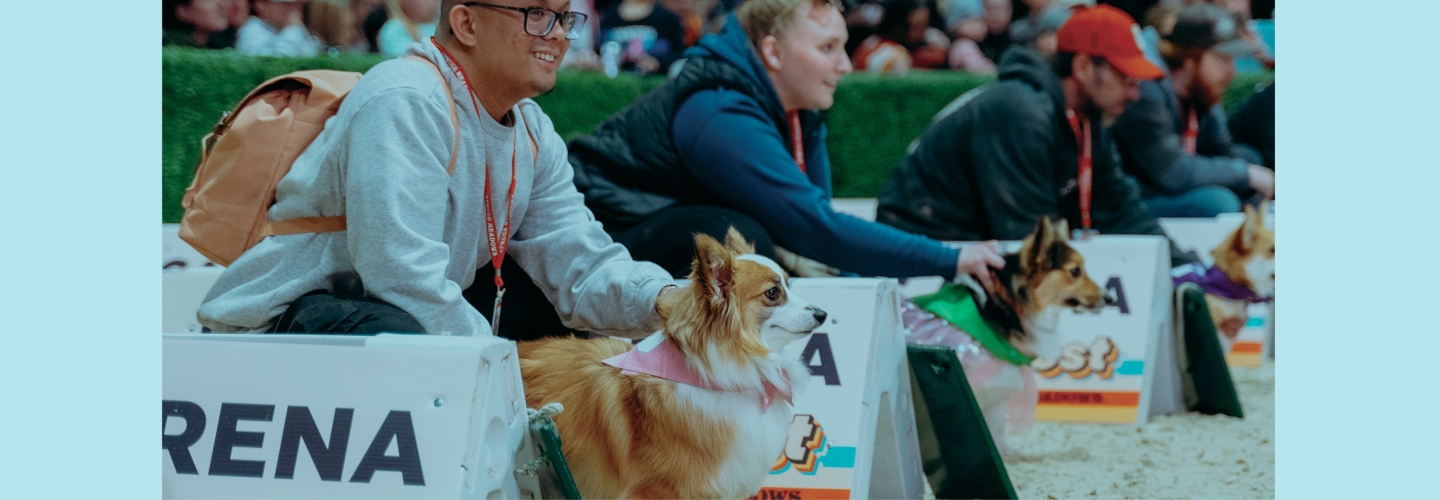 Enjoy sheep herding, mini-horses, <br>Prairie Dogs, and Corgi Cup races!