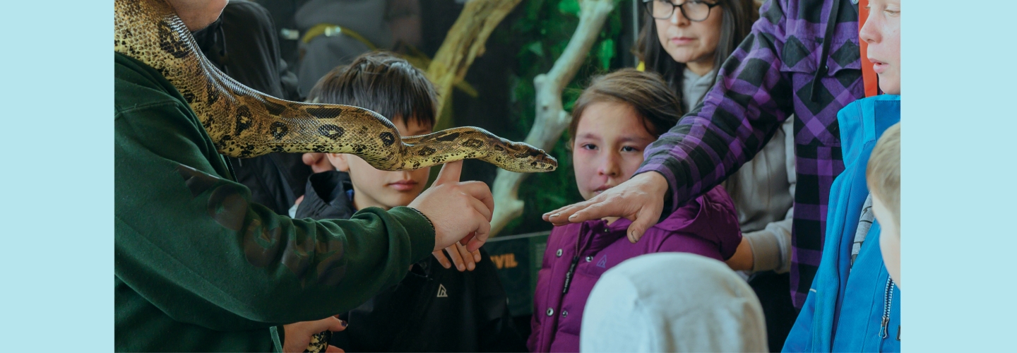 Where scales, slithers,<br>and surprises await!