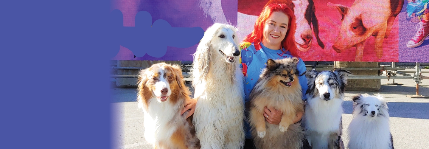 Vesta Properties Stage