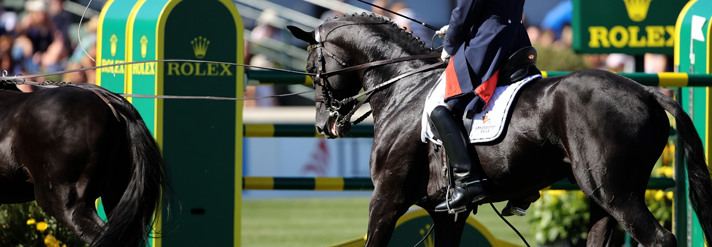 Spruce Meadows welcomes Germany's Celle Stallions