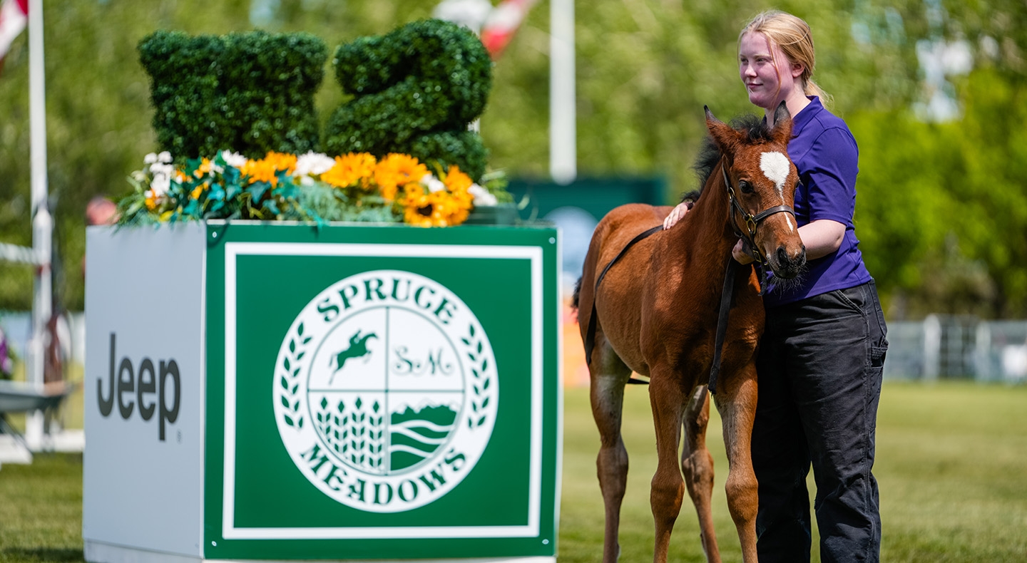 Spruce Meadows Contests