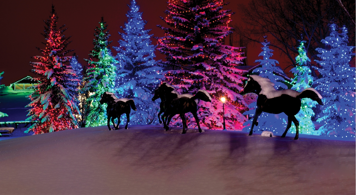 Spruce Meadows Home