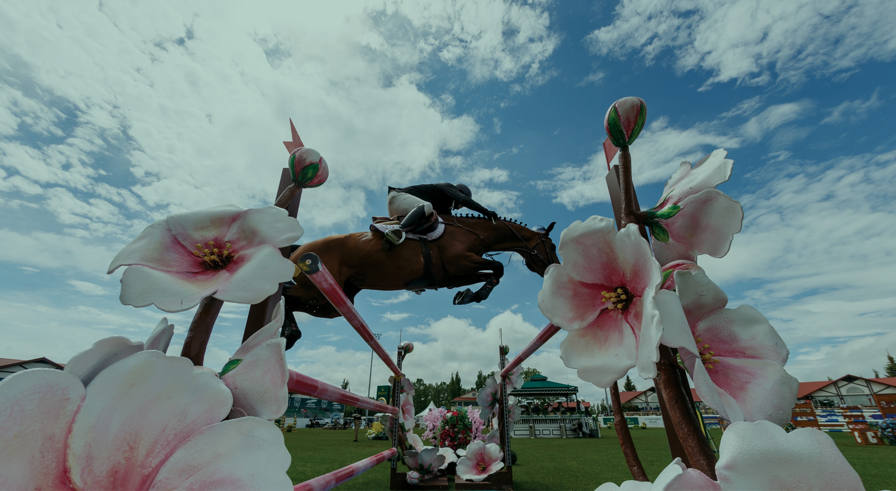 'Pan American',<br>presented by Rolex