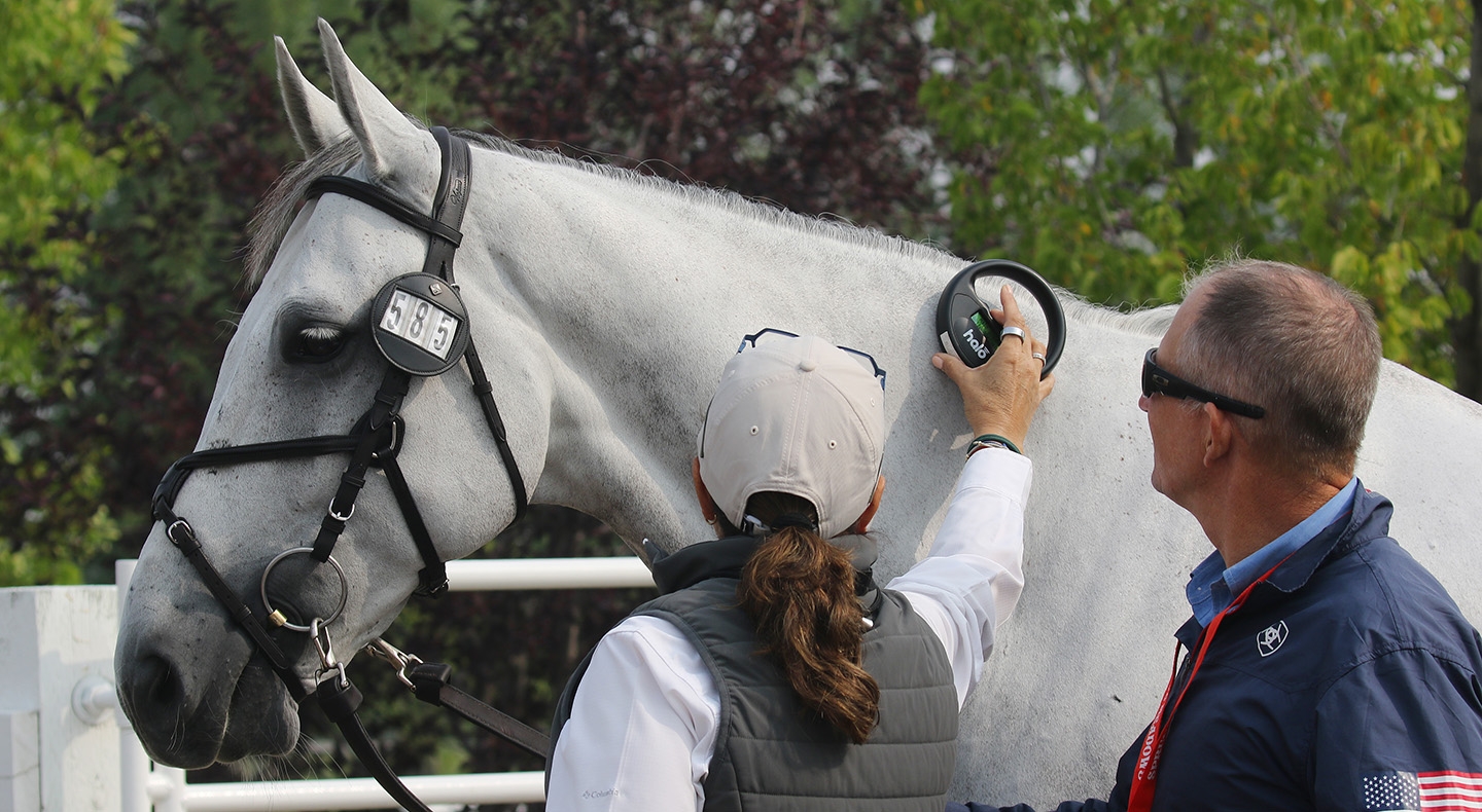 Over 130 Horses Pass the FEI Veterinary Inspection Ahead of First Masters  5* Competitions Starting Tomorrow!  