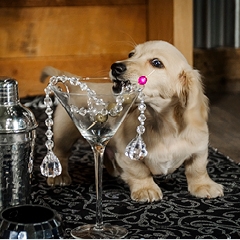 Wienies & Martinis<br>at PetFest