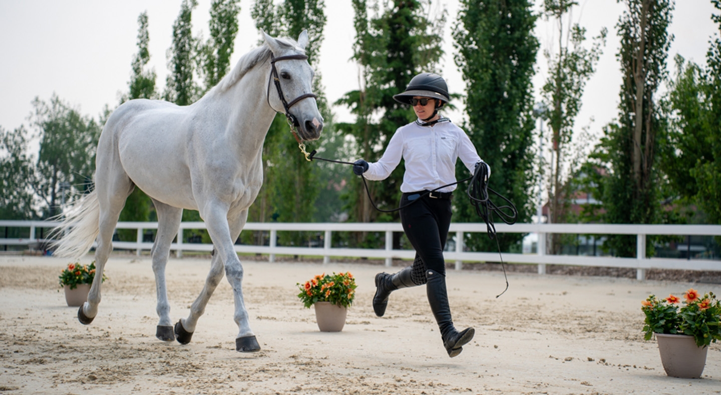 International Show Jumping Stars Set to Shine at the Spruce Meadows 'North American', Presented by Rolex