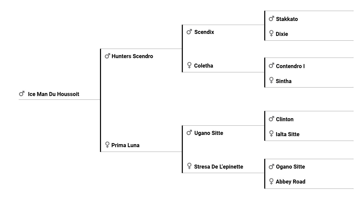 Ice Man du Houssoit pedigree