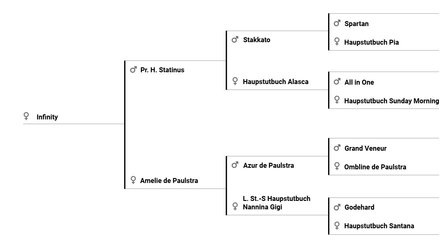 Infinity pedigree