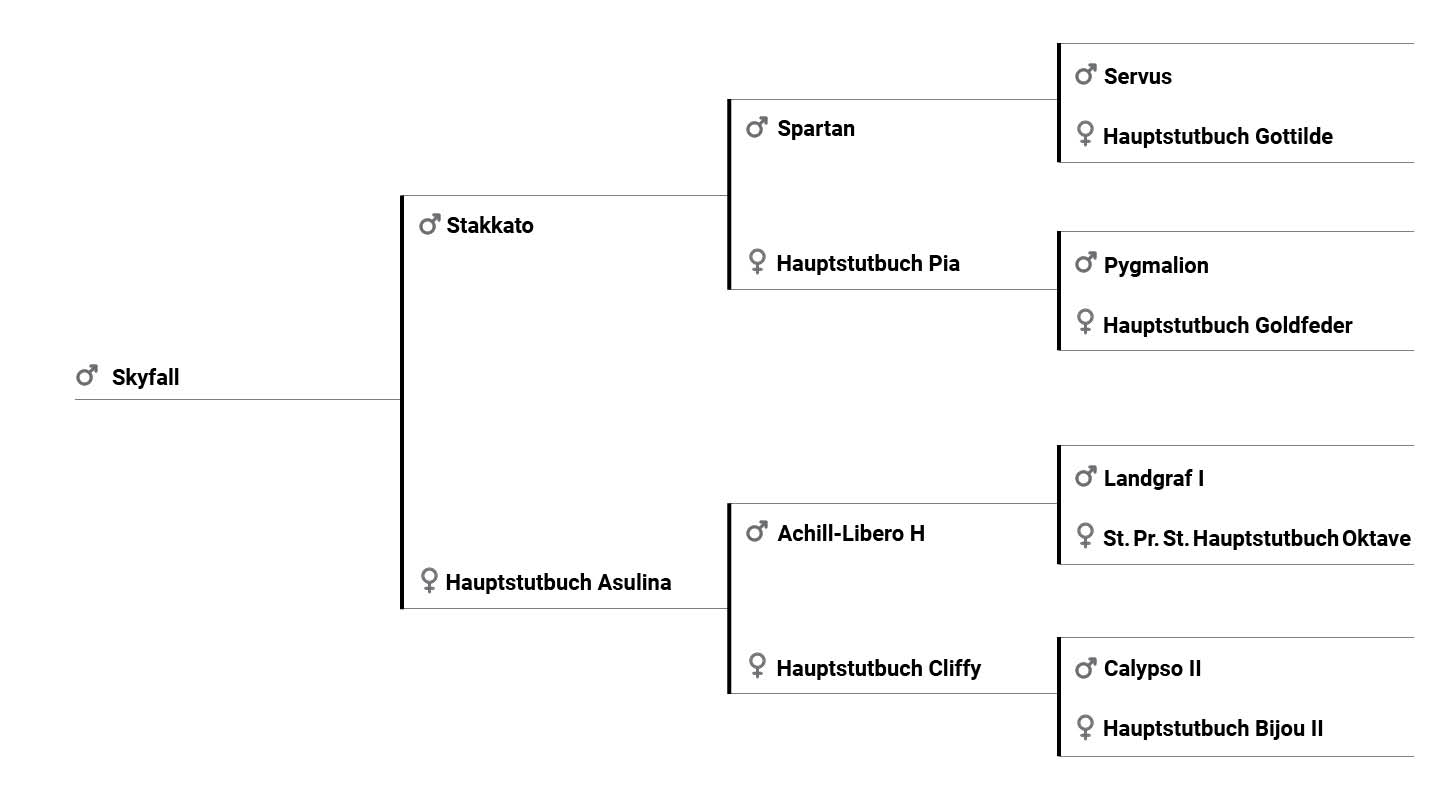 Skyfall pedigree