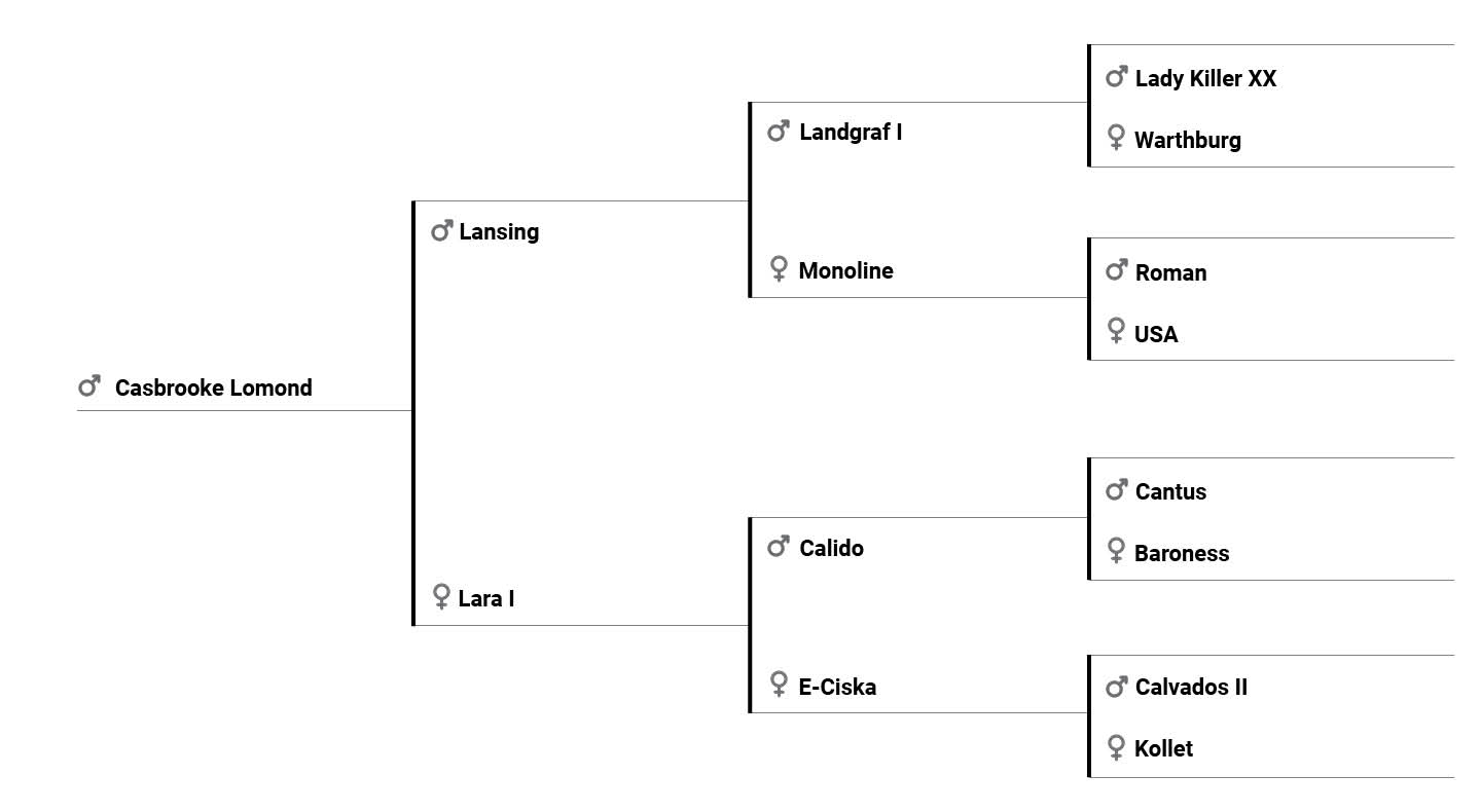 Casebrooke Lomond pedigree