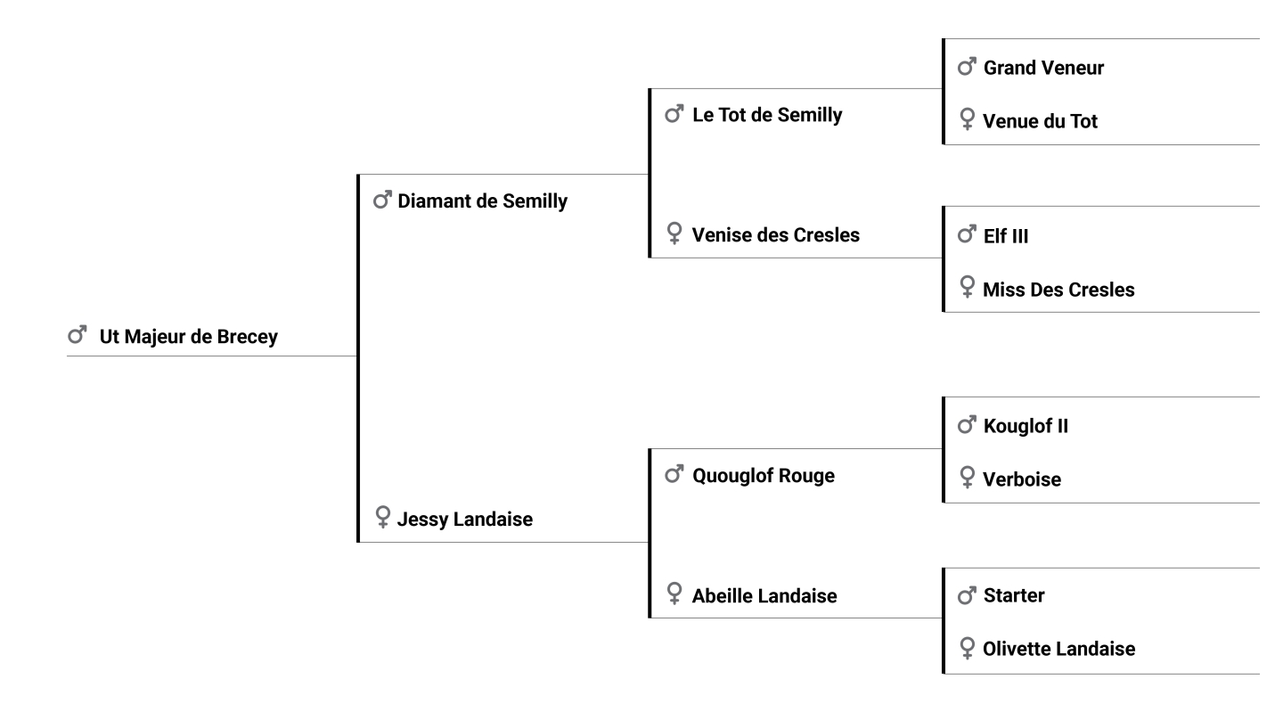 Ut Majeur de Brecey pedigree