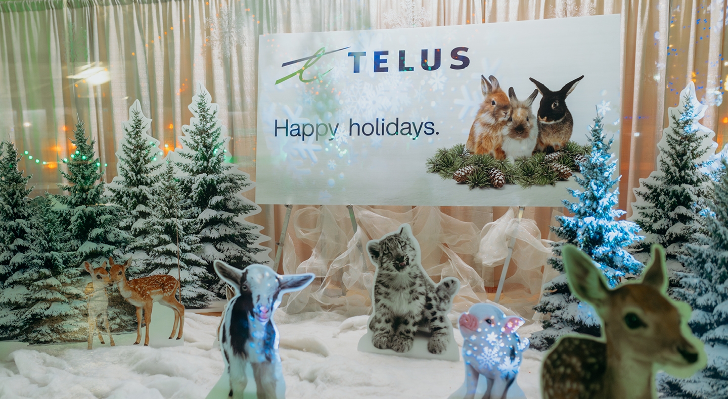 Spruce Meadows | Christmas Lights at Spruce Meadows