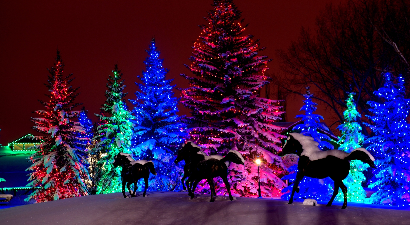 Spruce Meadows